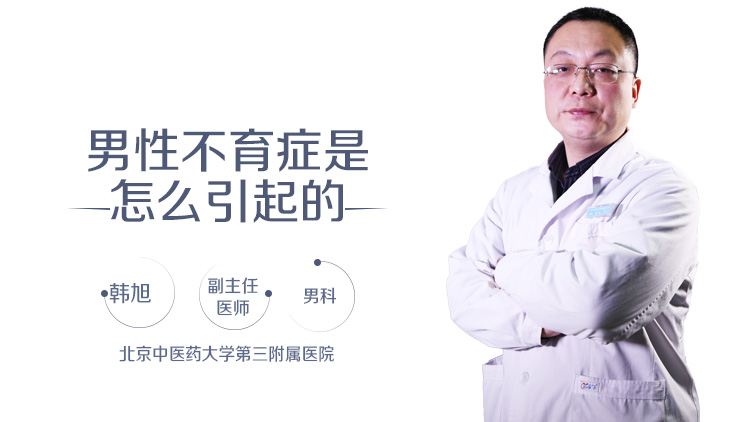 男性不育症是怎么引起的