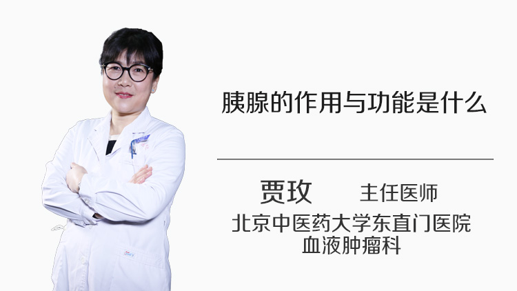 胰腺的作用与功能是什么