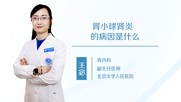 肾小球肾炎的病因是什么