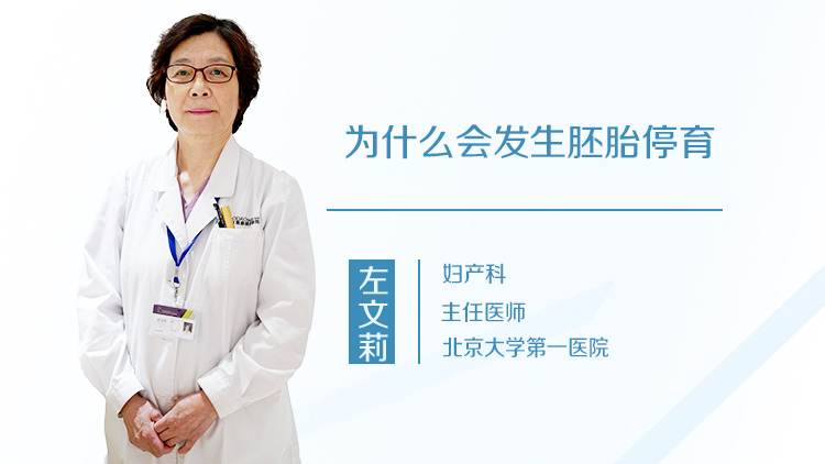 为什么会发生胚胎停育