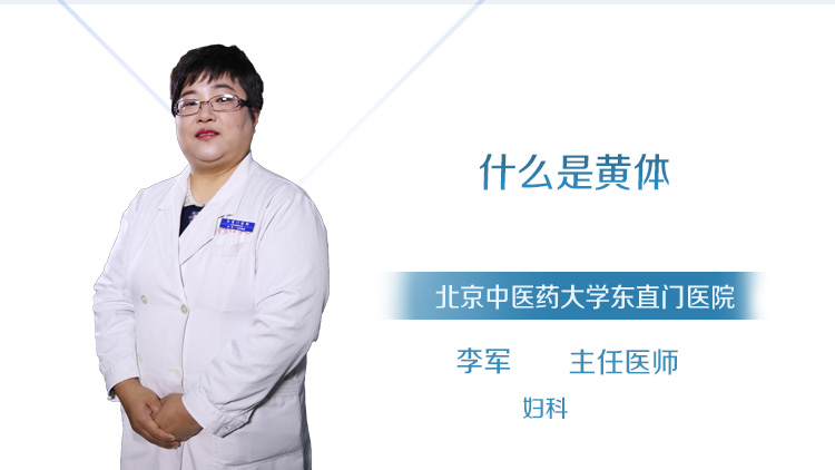 什么是黄体