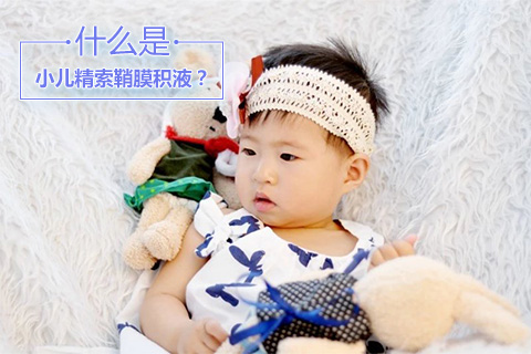 什么是小儿精索鞘膜积液