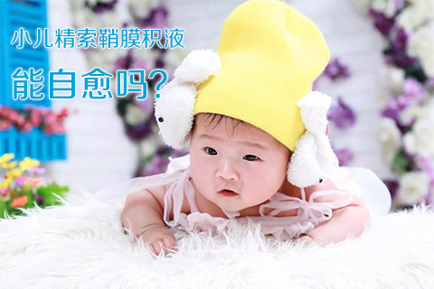 小儿精索鞘膜积液能自愈吗