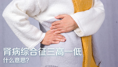 肾病综合征三高一低什么意思