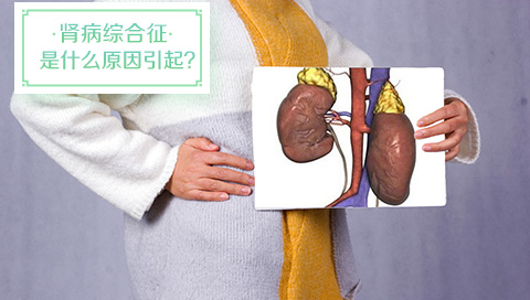 肾病综合征是什么原因引起