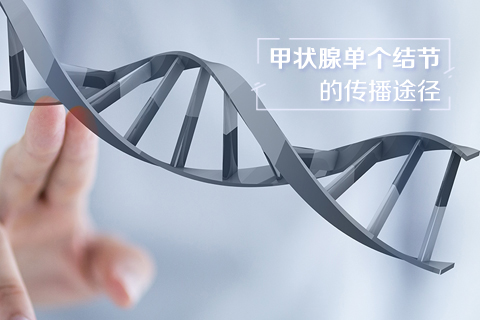 甲状腺单个结节的传播途径