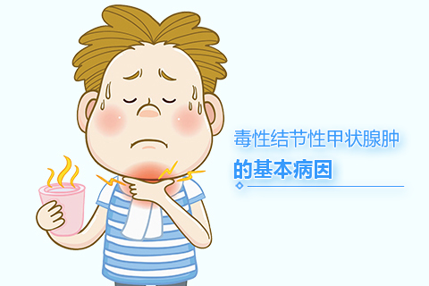 毒性结节性甲状腺肿的基本病因
