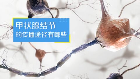 甲状腺结节的传播途径有哪些