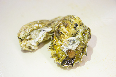 锌主要存在于海产品以及动物内脏中