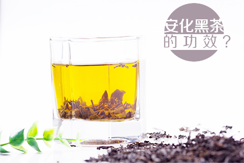 安化黑茶的功效
