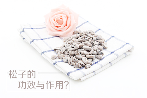 松子的功效与作用