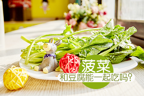 菠菜和豆腐能一起吃吗
