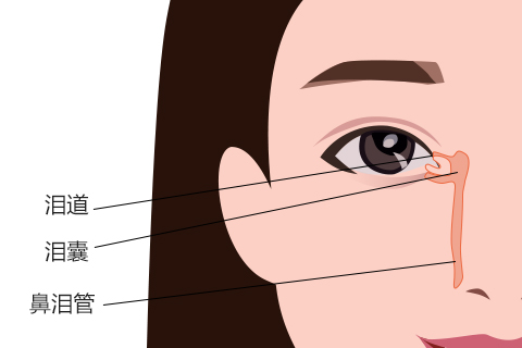 红眼病传染性强，多见于春秋季节，可散发感染，也可流行于学校、幼儿园、工厂等集体生活场所。