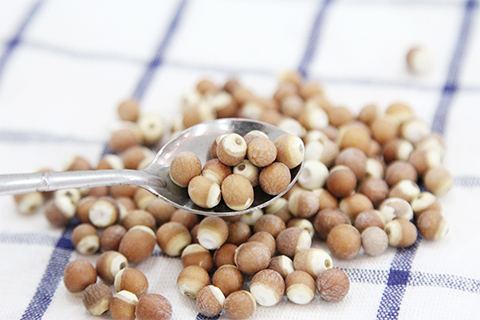 鸡头米就是芡实