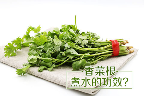 香菜根煮水的功效