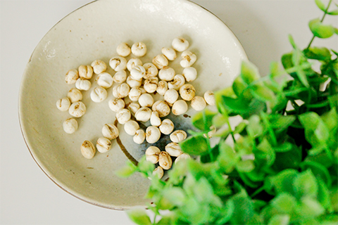 川贝是百合科植物川贝母,梭砂贝母,暗紫贝母,甘肃贝母的干燥鳞茎