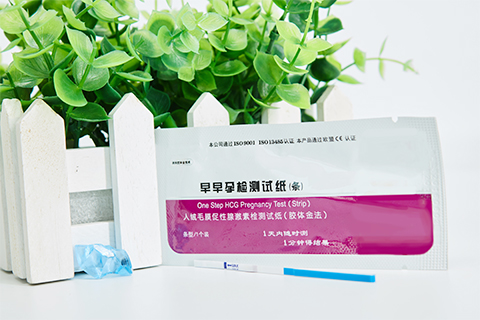 早孕一般是指怀孕时间在十三周之前的阶段