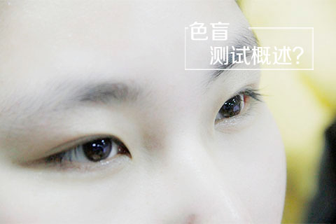 色盲测试概述
