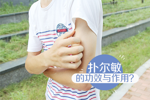 扑尔敏的功效与作用