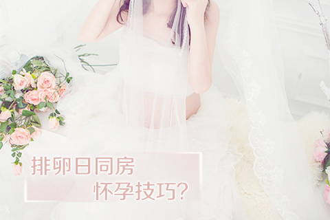 排卵日同房怀孕技巧