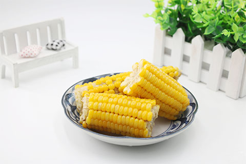 玉米是禾本科植物，也是生活中经常食用的食物之一