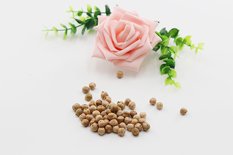 鹰嘴豆是豆科植物，主要存在于亚洲西部和近东地区