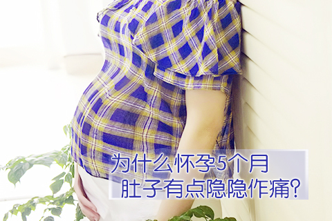 为什么怀孕5个月肚子有点隐隐作痛