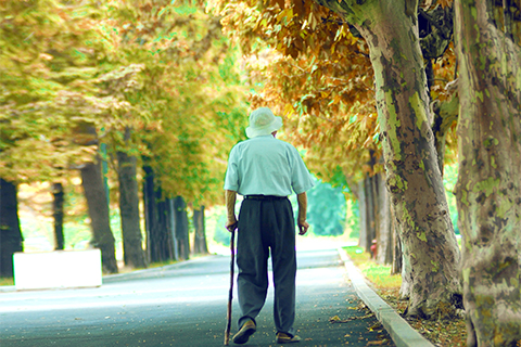 血管硬化是中老年常见的一种情况,也是引起很多心血管疾病的主要原因之一 血管硬化是中老年常见的一种情况,也是引起很多心血管疾病的主要原因之一