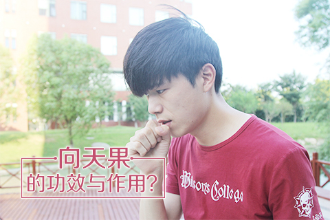 向天果的功效与作用