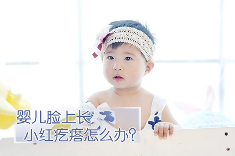 婴儿脸上长小红疙瘩怎么办