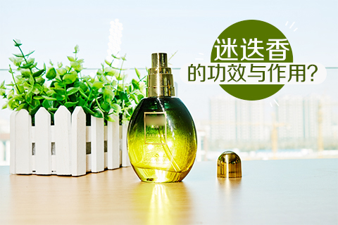 迷迭香的功效与作用