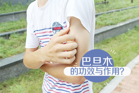 巴旦木的功效与作用