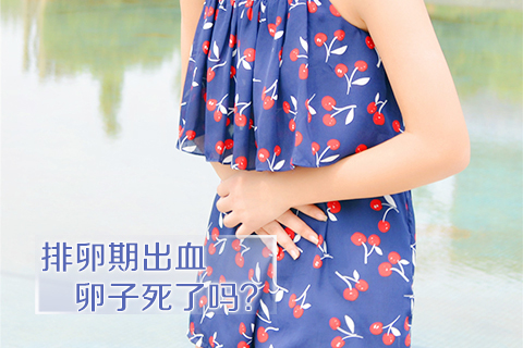 排卵期出血卵子死了吗