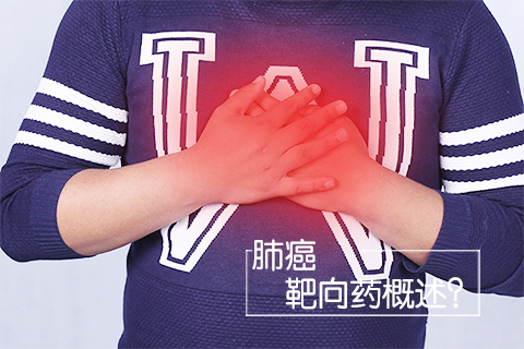 肺癌靶向药概述