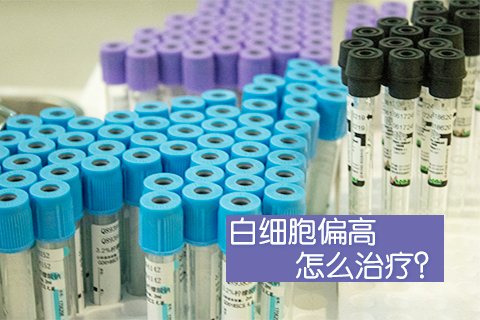 白细胞偏高怎么治疗