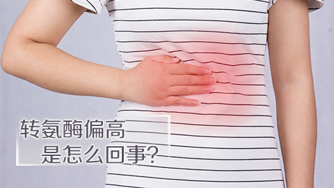 转氨酶偏高是怎么回事