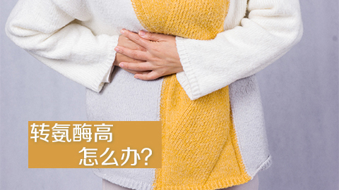 转氨酶高怎么办