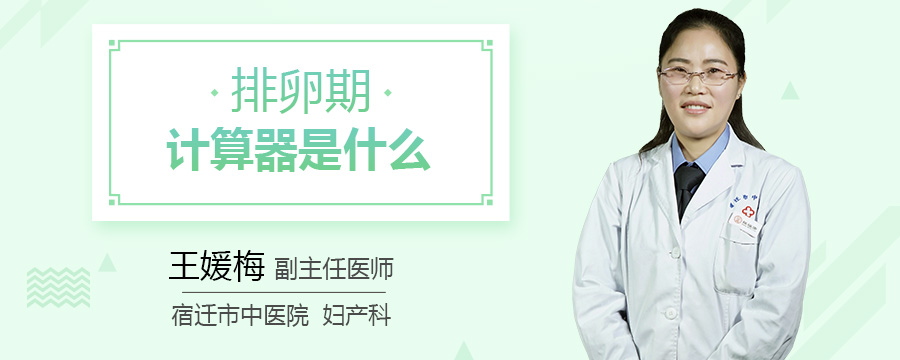 排卵期计算器是什么