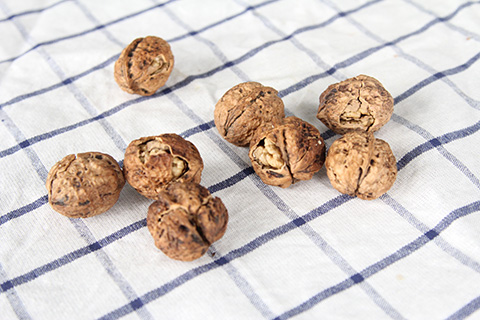 怀孕几个月开始吃核桃