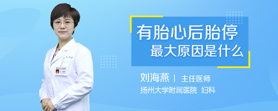 有胎心后胎停最大原因是什么