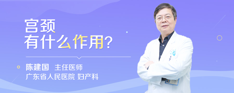 宫颈有什么作用