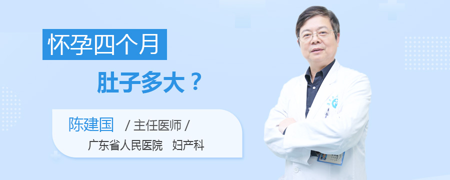 怀孕四个月肚子多大