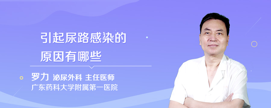 引起尿路感染的原因有哪些