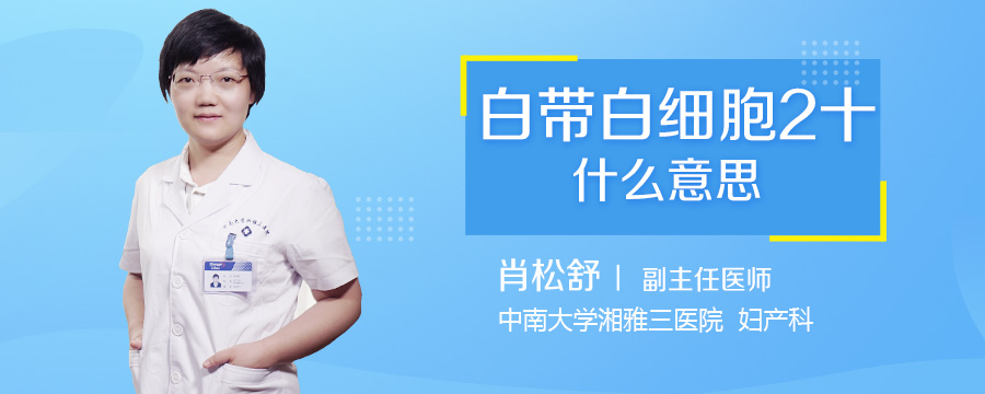 白带白细胞2十什么意思