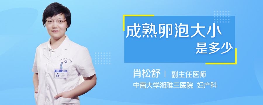 成熟卵泡大小是多少