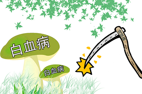 我们出现了白血病的问题，主要是由于遗传问题