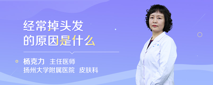 经常掉头发的原因是什么