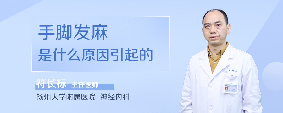 手脚发麻是什么原因引起的