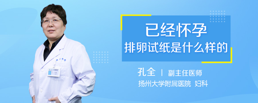已经怀孕排卵试纸是什么样的