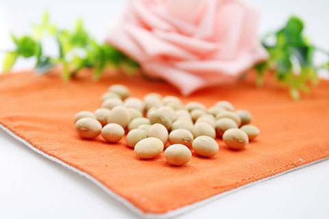 可以多吃黄豆和豆制品 可以多吃黄豆和豆制品